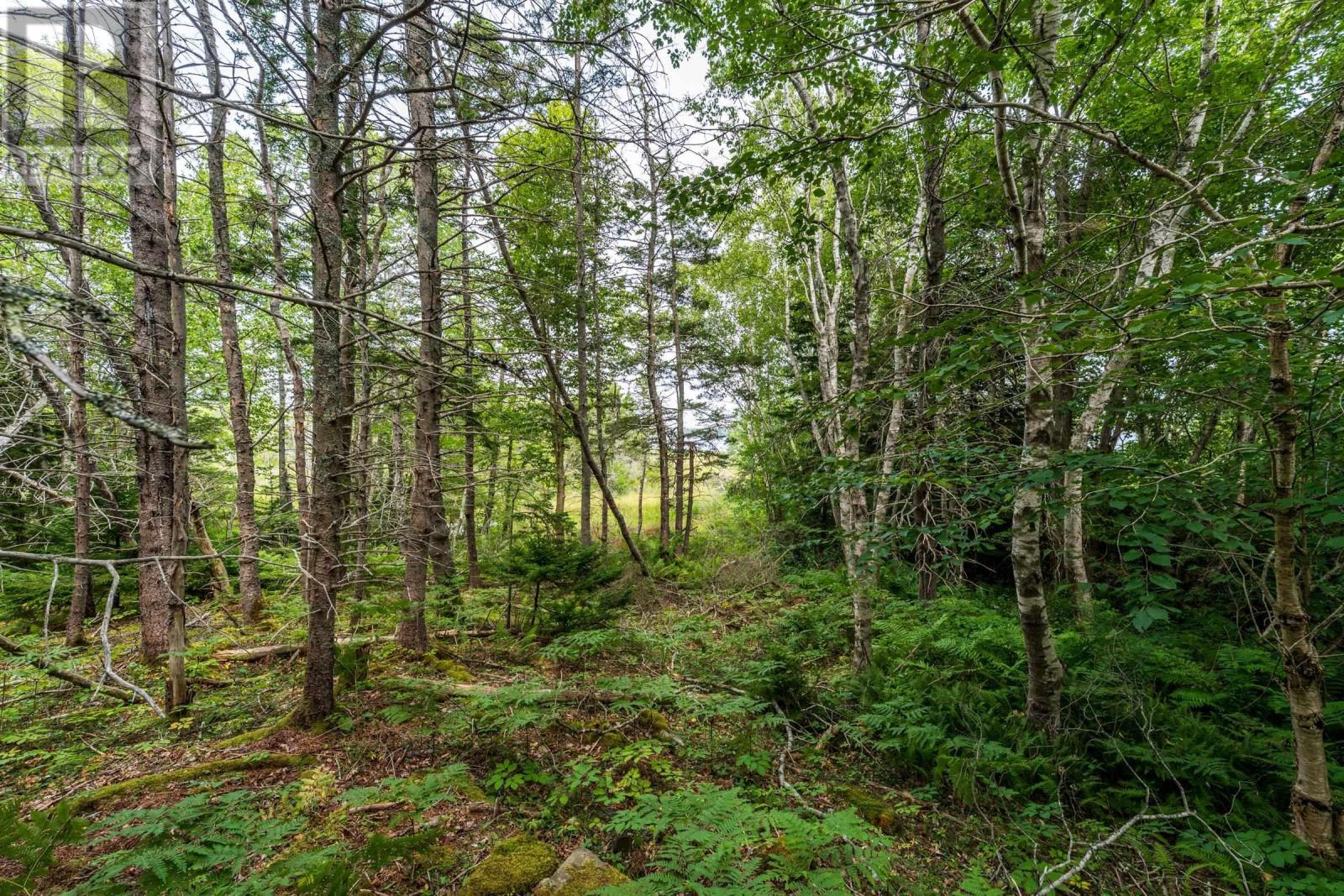 Lot 807 Hardwood Hills Road, Plymouth, Nova Scotia  B0W 1B0 - Photo 19 - 202619115