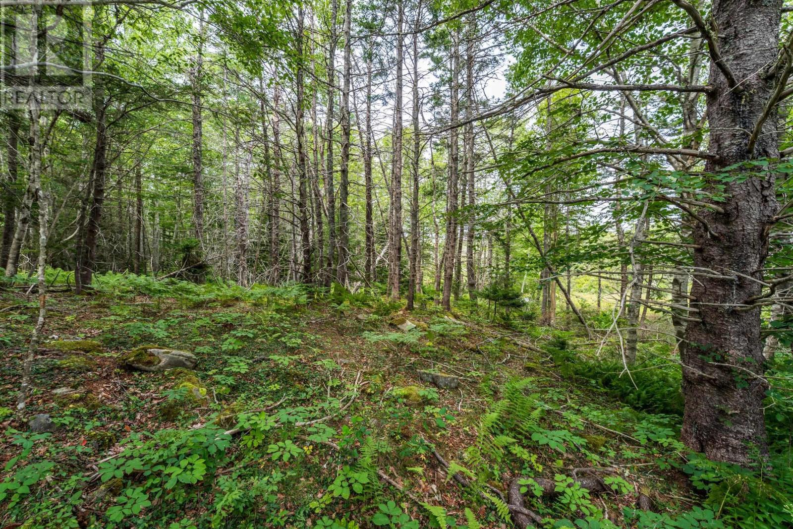 Lot 807 Hardwood Hills Road, Plymouth, Nova Scotia  B0W 1B0 - Photo 18 - 202619115
