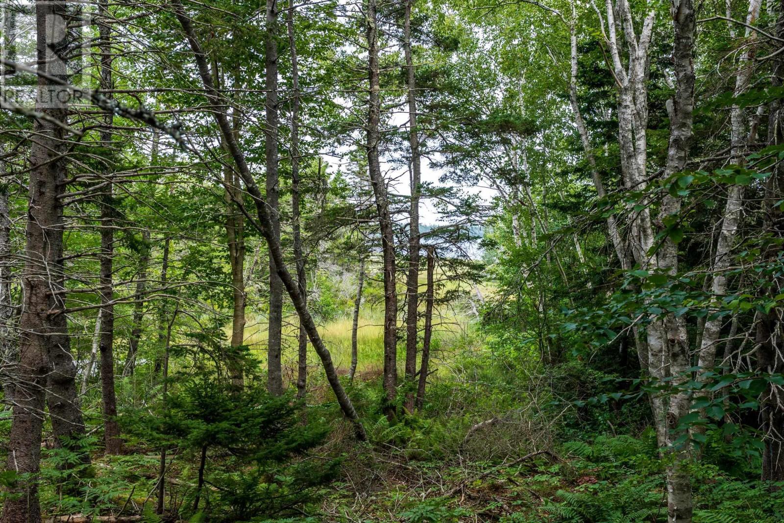 Lot 807 Hardwood Hills Road, Plymouth, Nova Scotia  B0W 1B0 - Photo 20 - 202619115