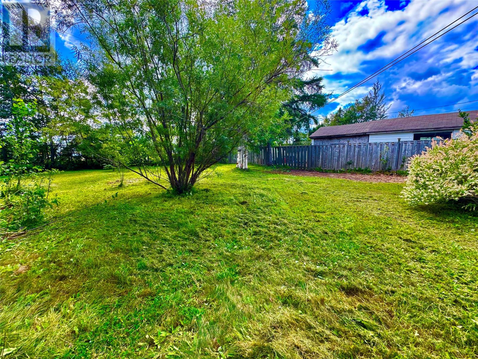 91 Memorial Drive, Gander — photo 30