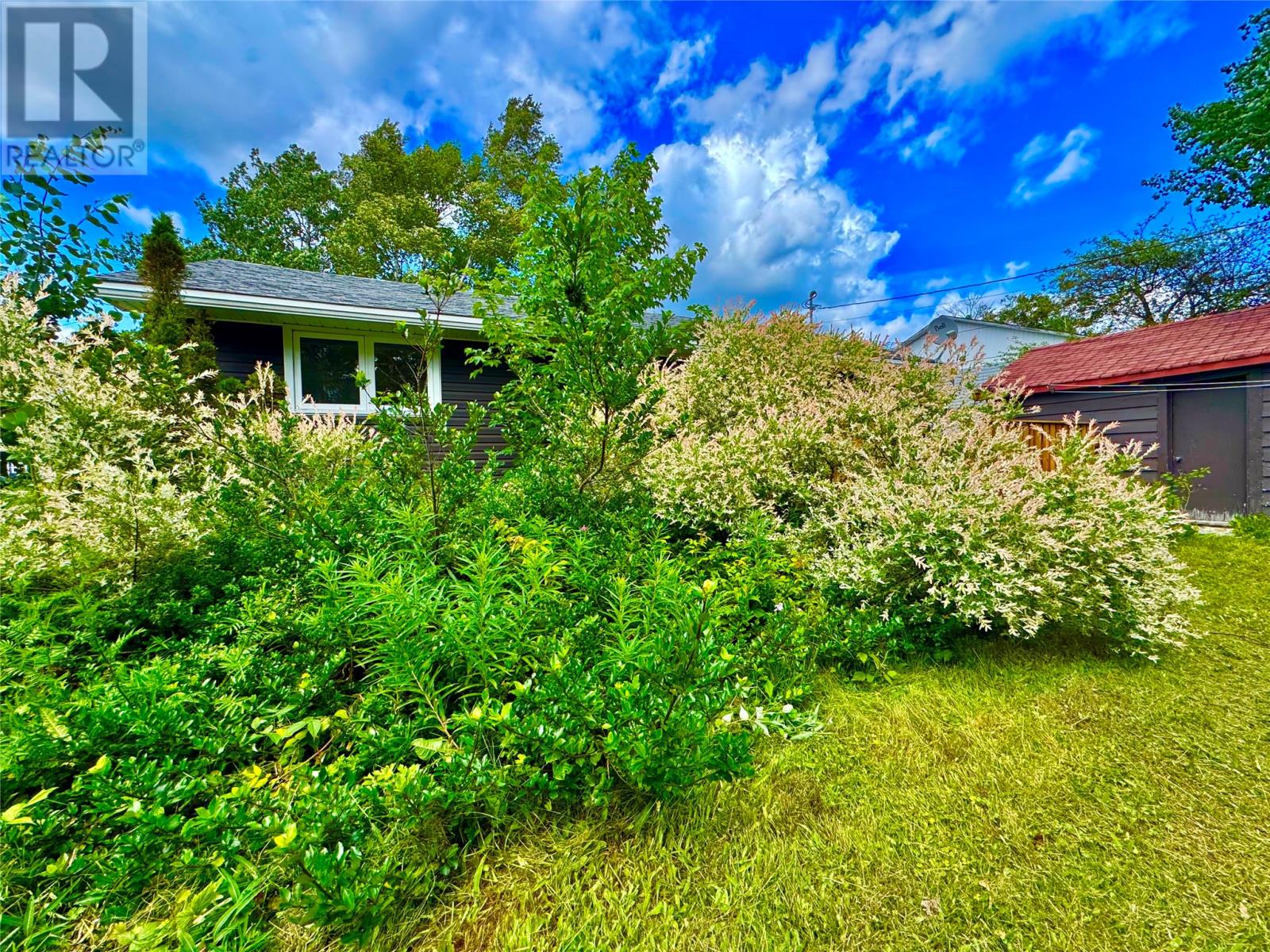 91 Memorial Drive, Gander — photo 35