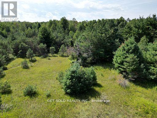 3125 14th Line, Innisfil, Ontario  L0L 1R0 - Photo 1 - N13682466