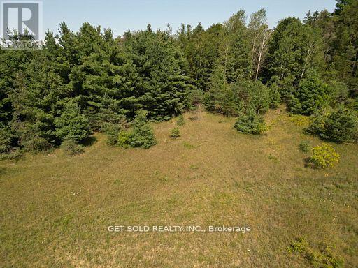 3125 14th Line, Innisfil, Ontario  L0L 1R0 - Photo 2 - N13682466