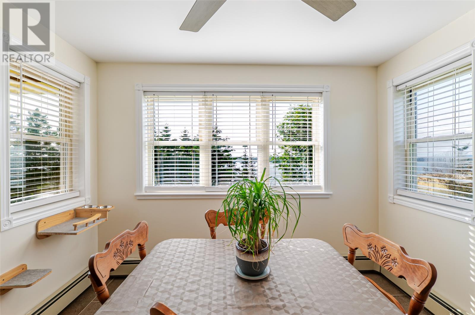 11 Jones Road, Bishops Cove — photo 28