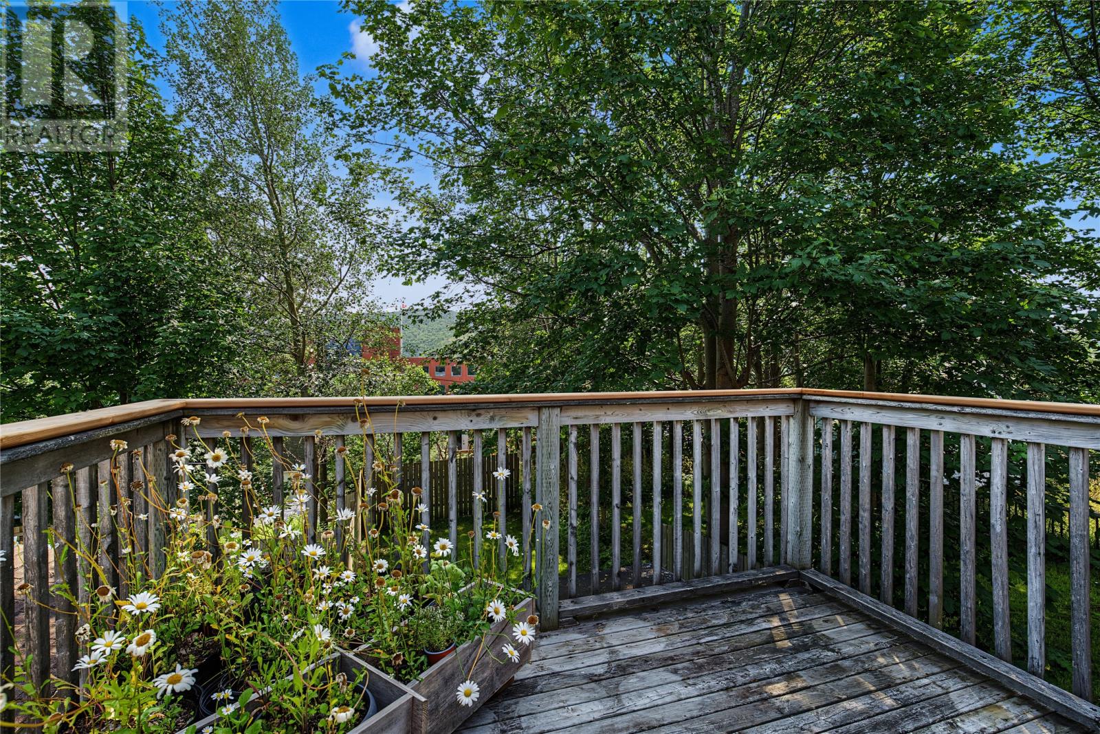 81 Gower Street, St. John's — photo 16