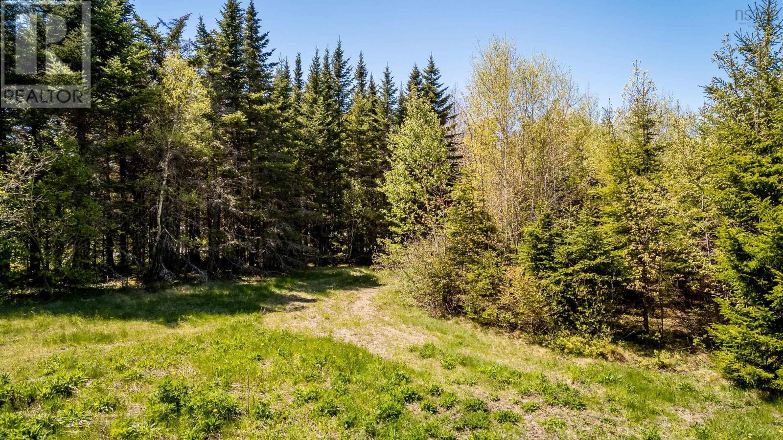 808 Newtonville Road, Forest Hill, Nova Scotia  B4P 2R1 - Photo 6 - 202611996