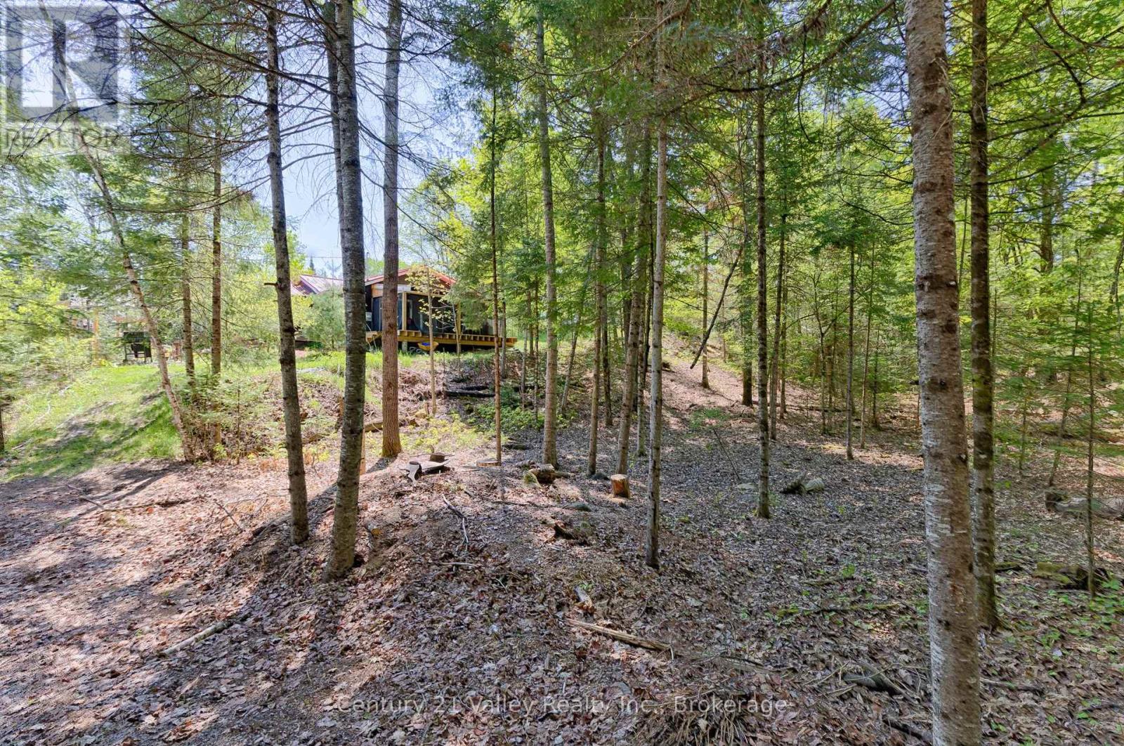 593 Inglis Road, Greater Madawaska, Ontario  K7V 3Z9 - Photo 39 - X13685906