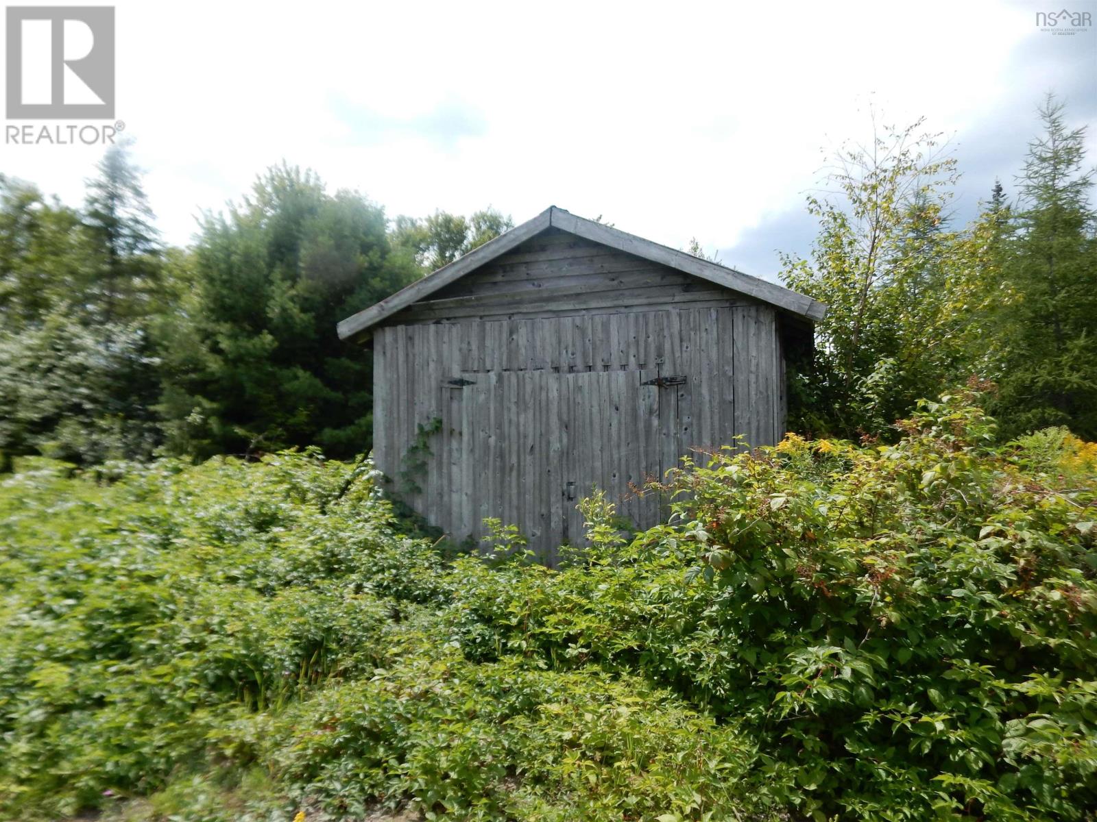 picture 24