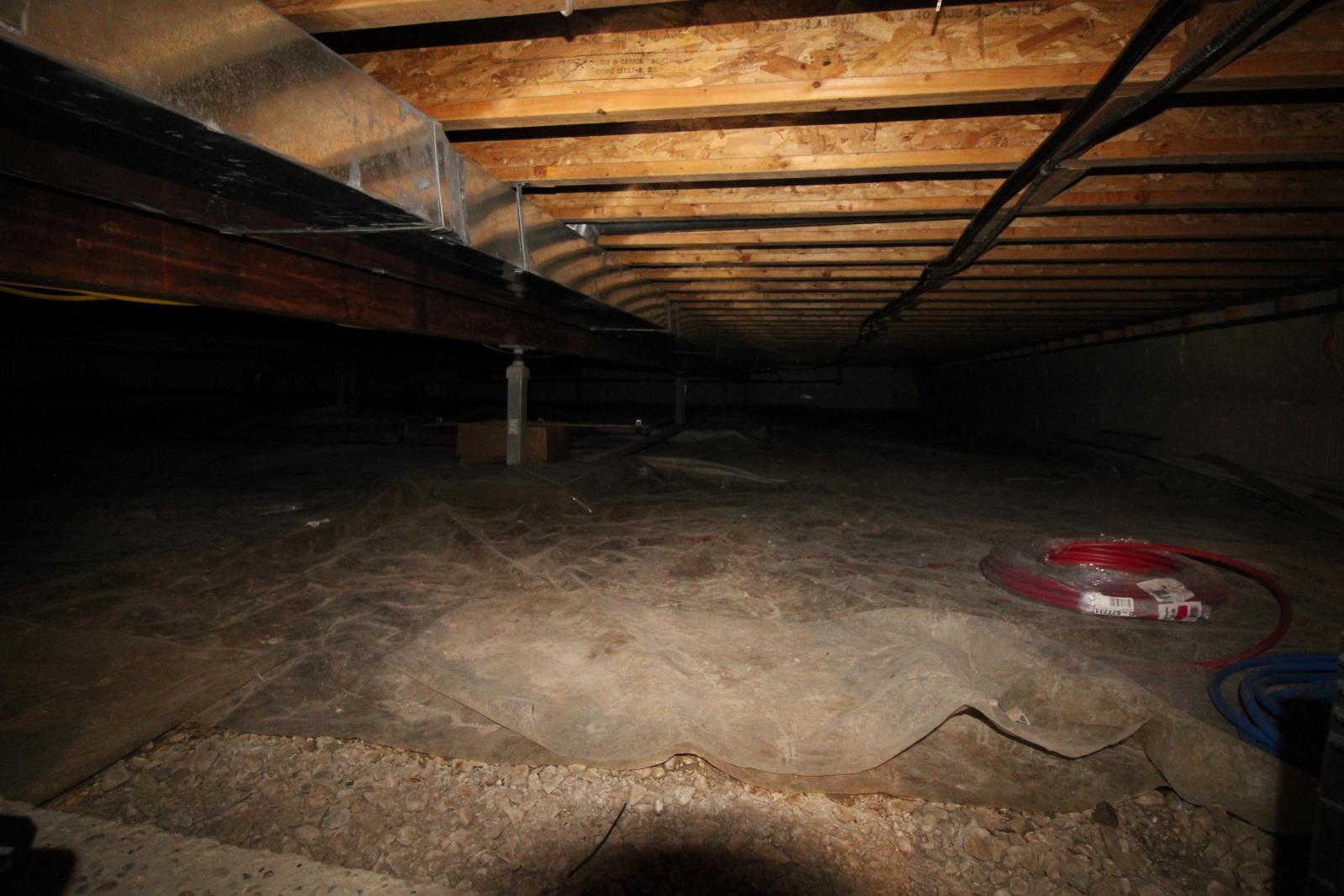 picture 37