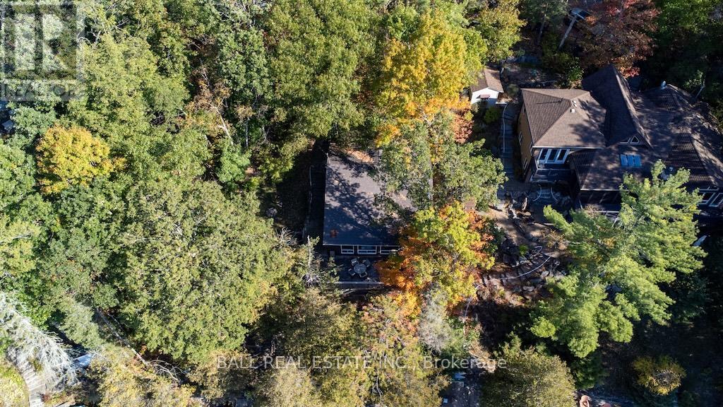 12 Bedwell Drive, North Kawartha, Ontario  K0L 3E0 - Photo 37 - X13686106
