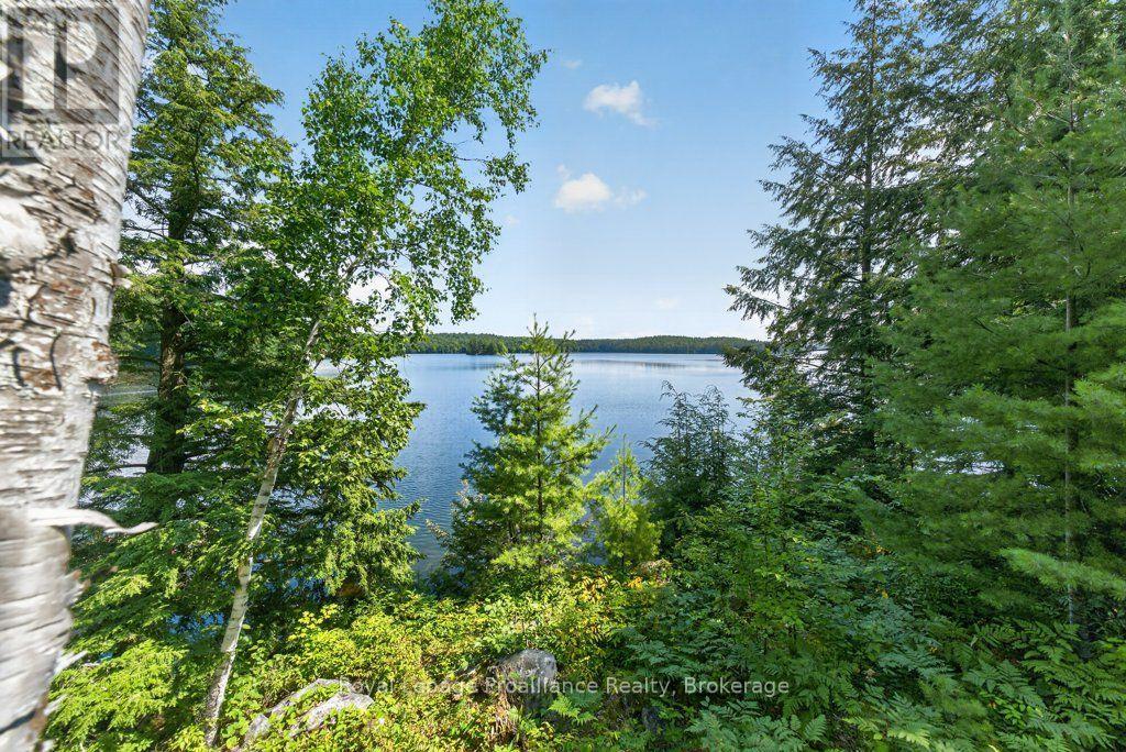 3310 Shabomeka Lake, Frontenac, Ontario  K0H 1K0 - Photo 41 - X13686128