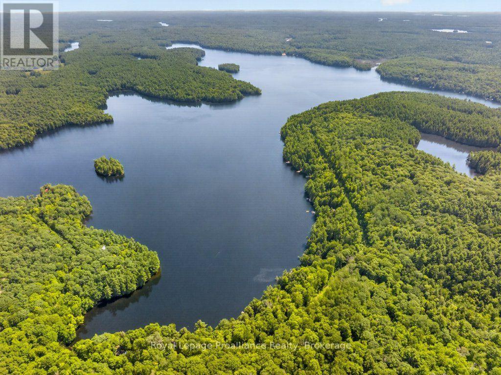 3310 Shabomeka Lake, Frontenac, Ontario  K0H 1K0 - Photo 50 - X13686128