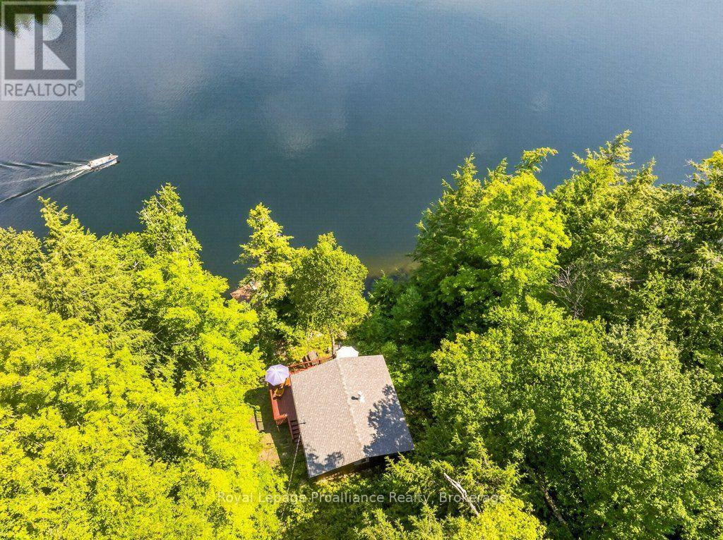 3310 Shabomeka Lake, Frontenac, Ontario  K0H 1K0 - Photo 7 - X13686128