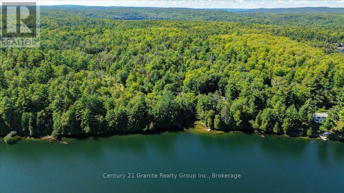 118 Bay Lake Road, Bancroft, Ontario  K0L 1C0 - Photo 25 - X13686184