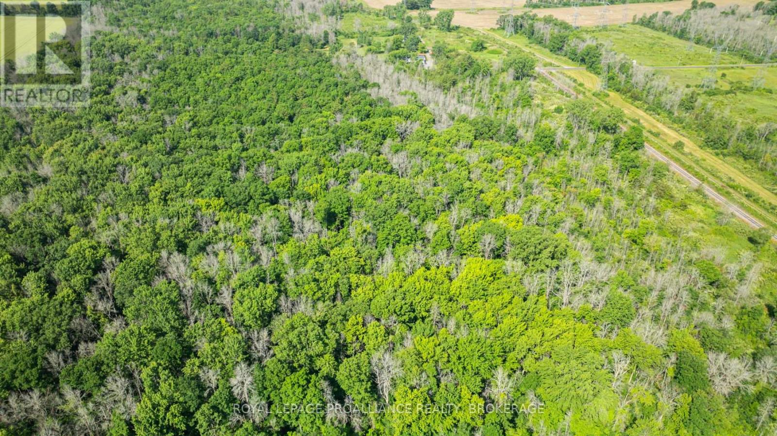 Lot B Townline Road, Loyalist, Ontario  K0H 1G0 - Photo 4 - X13686092