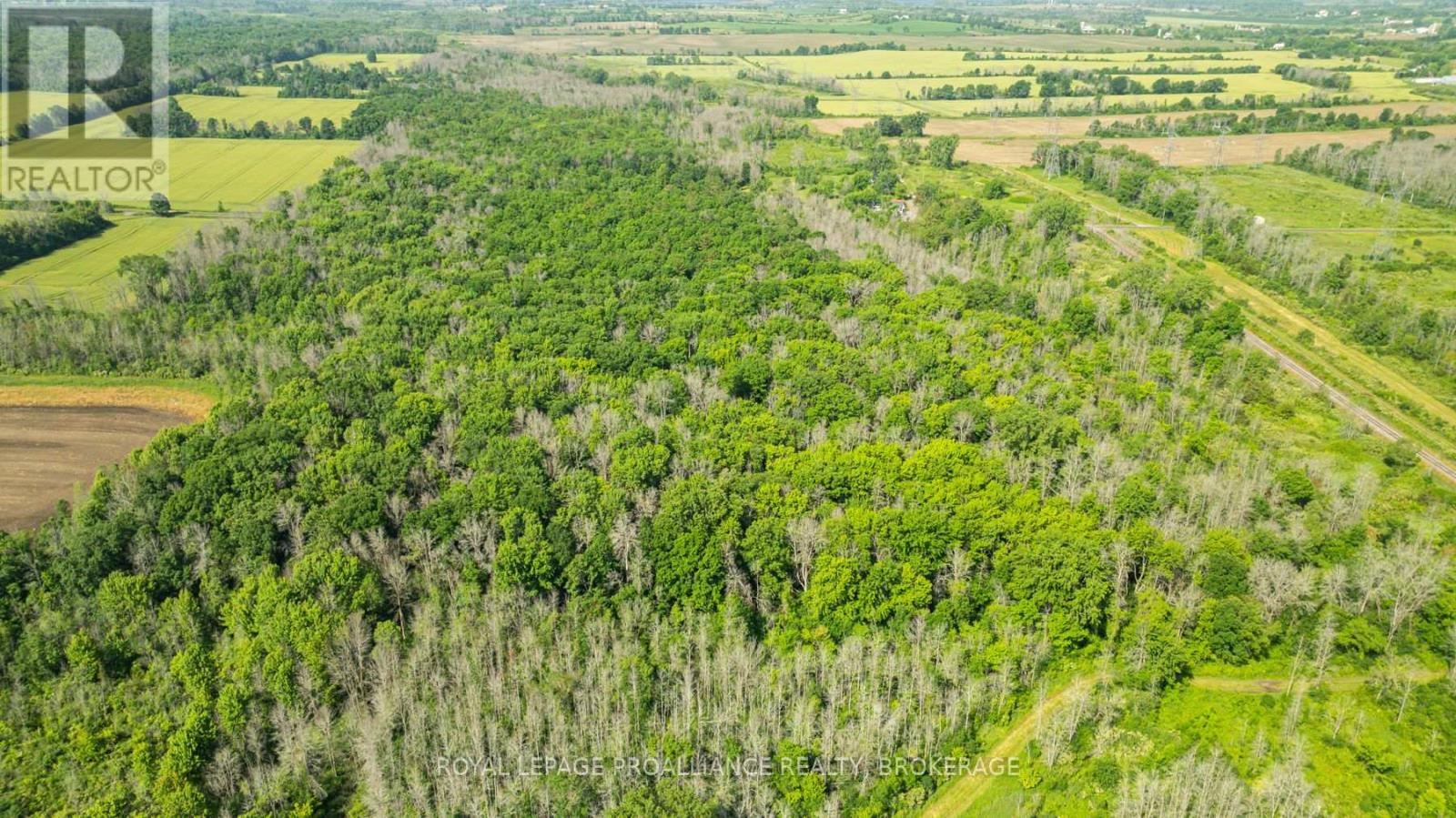 Lot B Townline Road, Loyalist, Ontario  K0H 1G0 - Photo 5 - X13686092