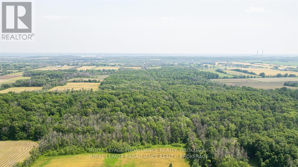 Lot C Townline Road, Loyalist, Ontario  K0H 1G0 - Photo 10 - X13686102