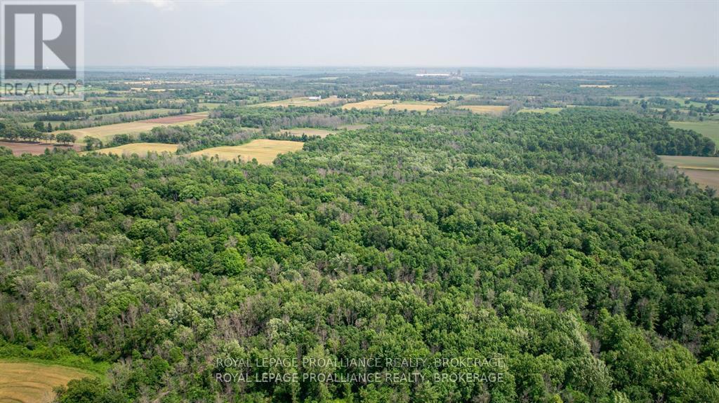 Lot C Townline Road, Loyalist, Ontario  K0H 1G0 - Photo 12 - X13686102