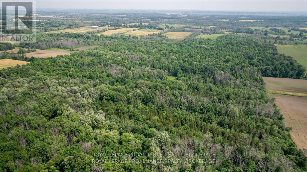 Lot C Townline Road, Loyalist, Ontario  K0H 1G0 - Photo 13 - X13686102