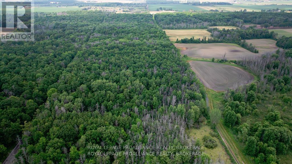 Lot C Townline Road, Loyalist, Ontario  K0H 1G0 - Photo 2 - X13686102