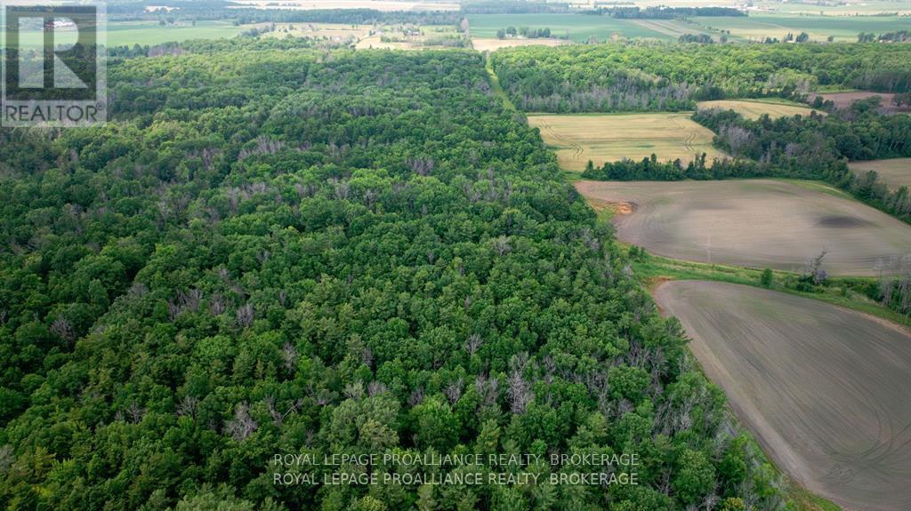 Lot C Townline Road, Loyalist, Ontario  K0H 1G0 - Photo 3 - X13686102