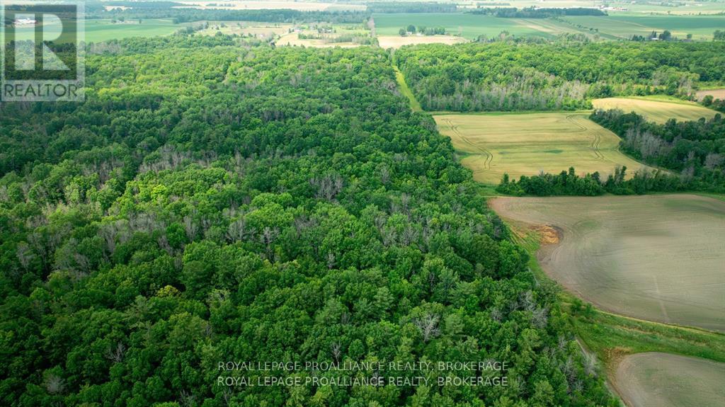 Lot C Townline Road, Loyalist, Ontario  K0H 1G0 - Photo 4 - X13686102