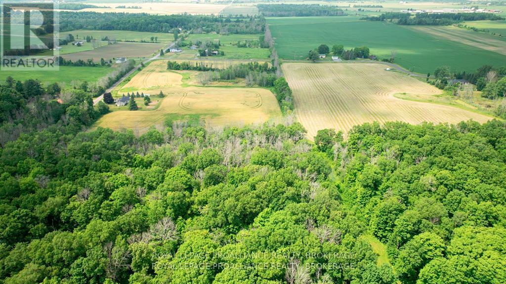 Lot C Townline Road, Loyalist, Ontario  K0H 1G0 - Photo 6 - X13686102
