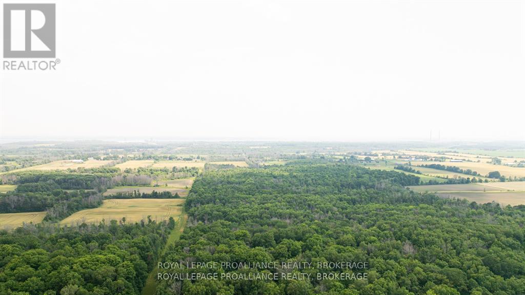 Lot C Townline Road, Loyalist, Ontario  K0H 1G0 - Photo 8 - X13686102