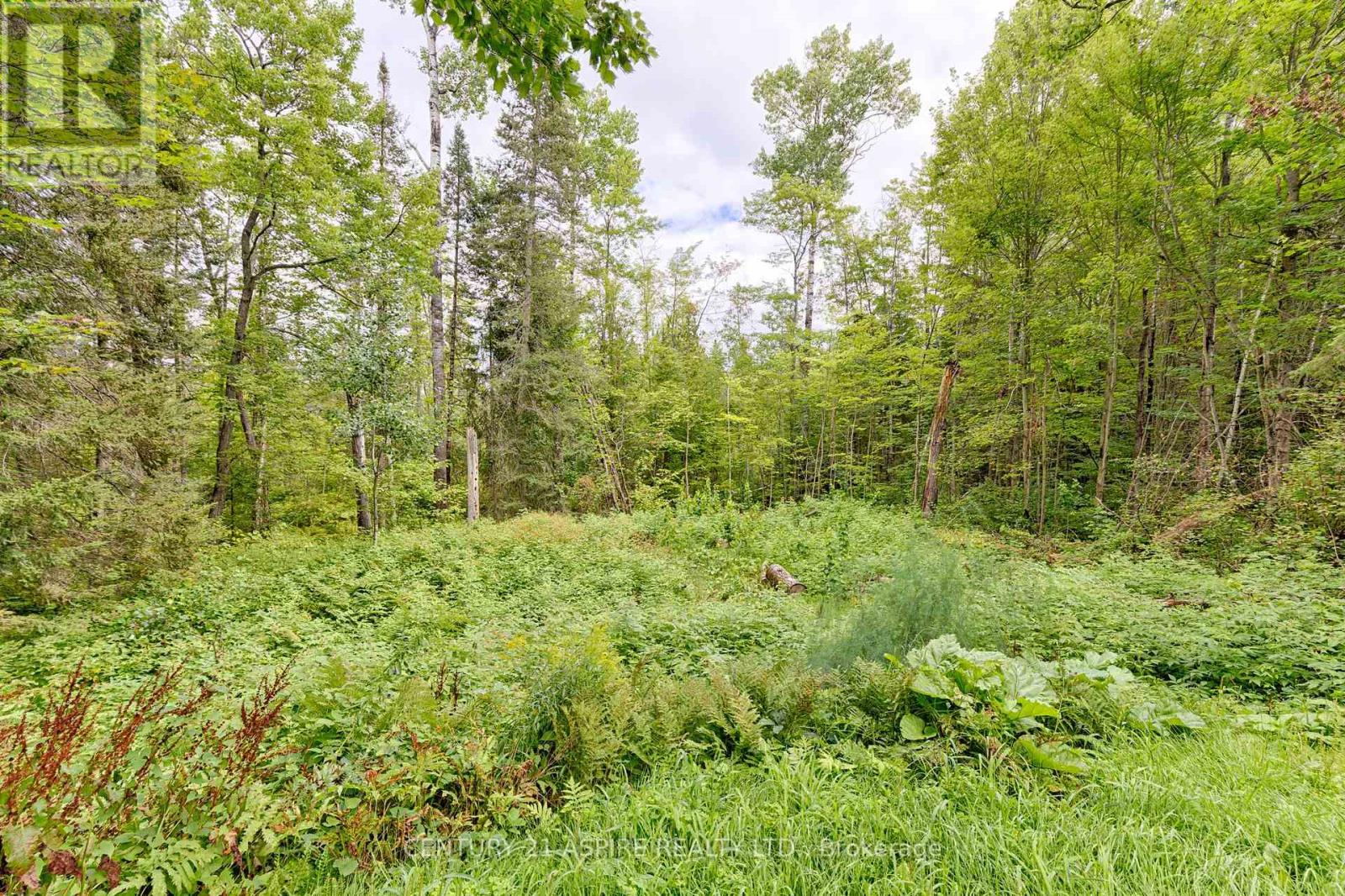 32868 Highway 17 Highway, Deep River, Ontario  K0J 1P0 - Photo 40 - X13686194