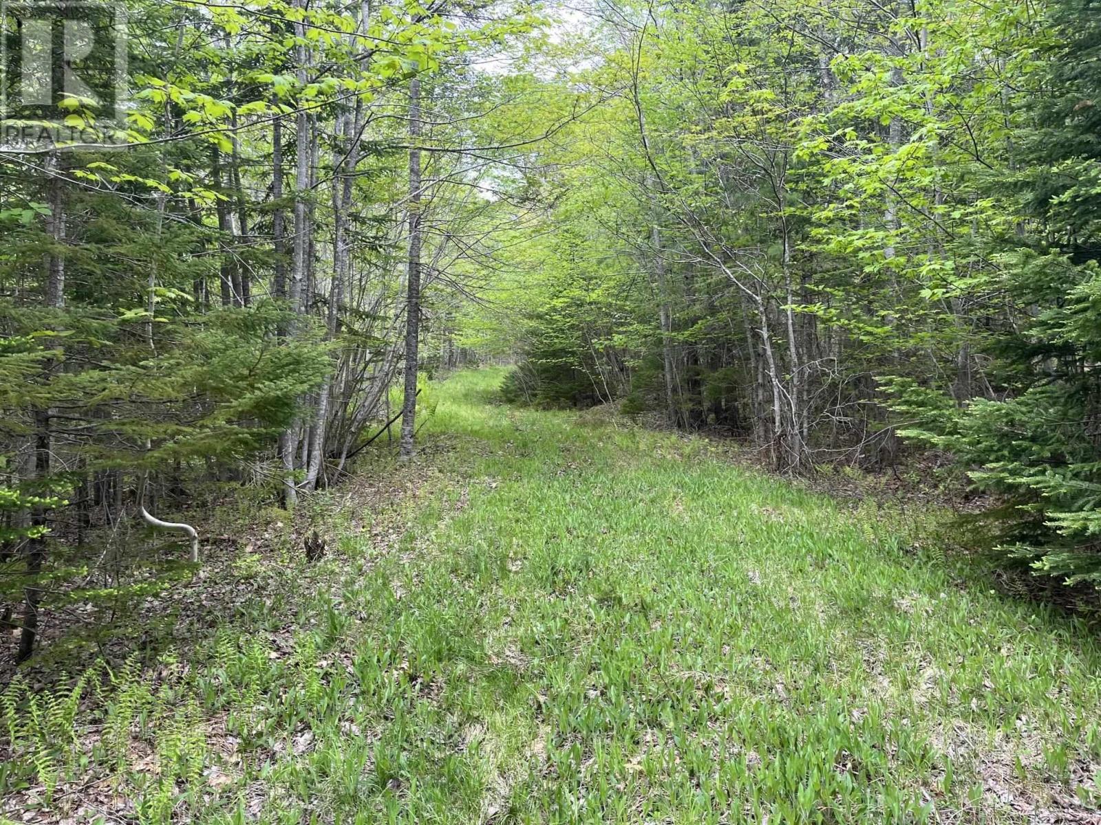 Land Locust Street, Brooklyn, Nova Scotia  B0J 1H0 - Photo 3 - 202612998
