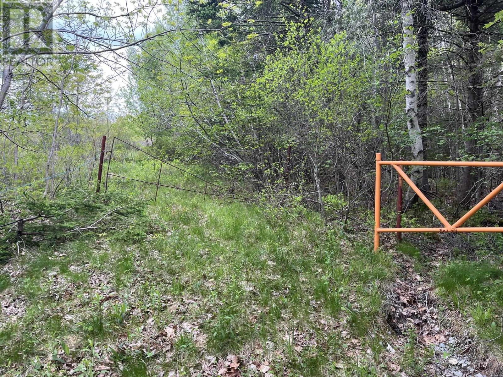 Land Locust Street, Brooklyn, Nova Scotia  B0J 1H0 - Photo 2 - 202612998