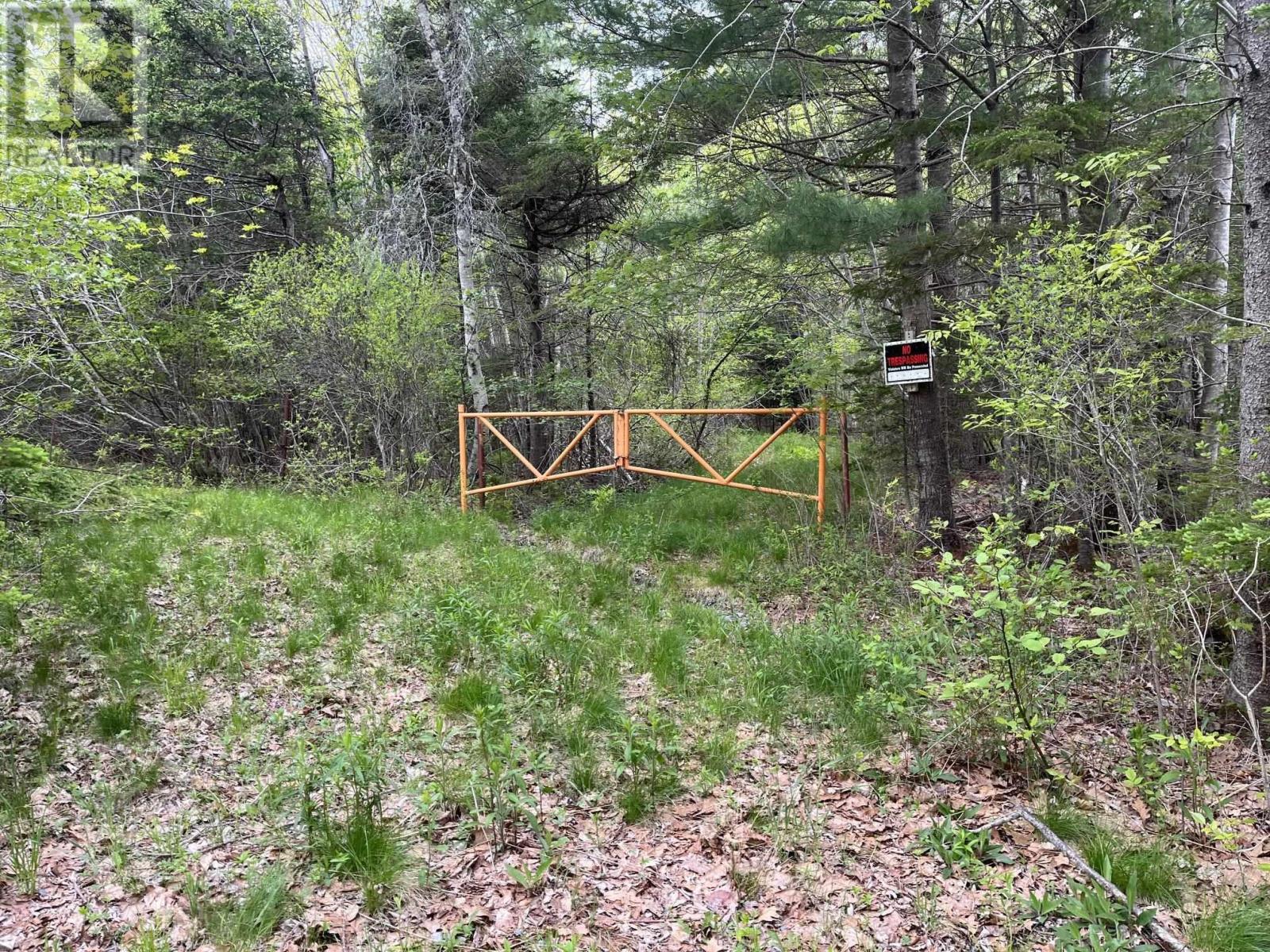 Land Locust Street, Brooklyn, Nova Scotia  B0J 1H0 - Photo 1 - 202612998