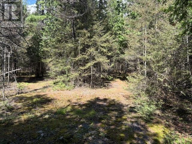 N/a Little Lake Huron Road, Silver Water, Ontario  P0P 1Y0 - Photo 15 - 2129860
