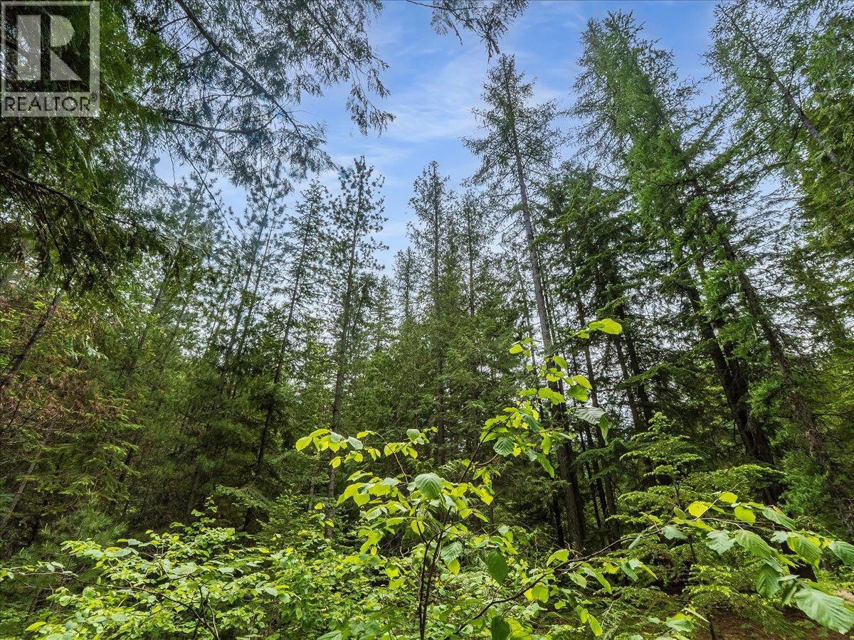 Claybrick Road Lot# 15, Winlaw, British Columbia