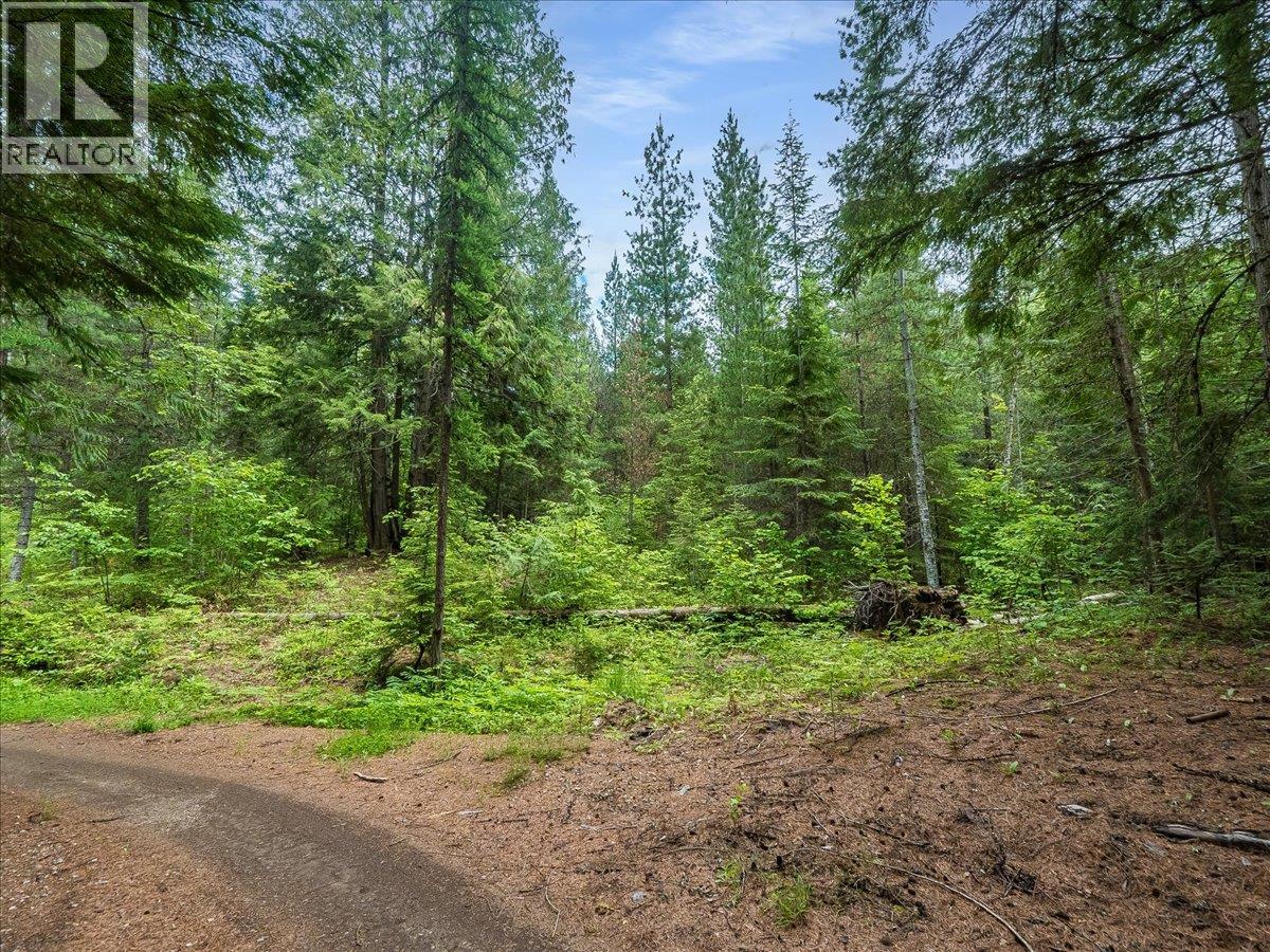 Claybrick Road Lot# 15, Winlaw, British Columbia  V0G 2J0 - Photo 3 - 10390150