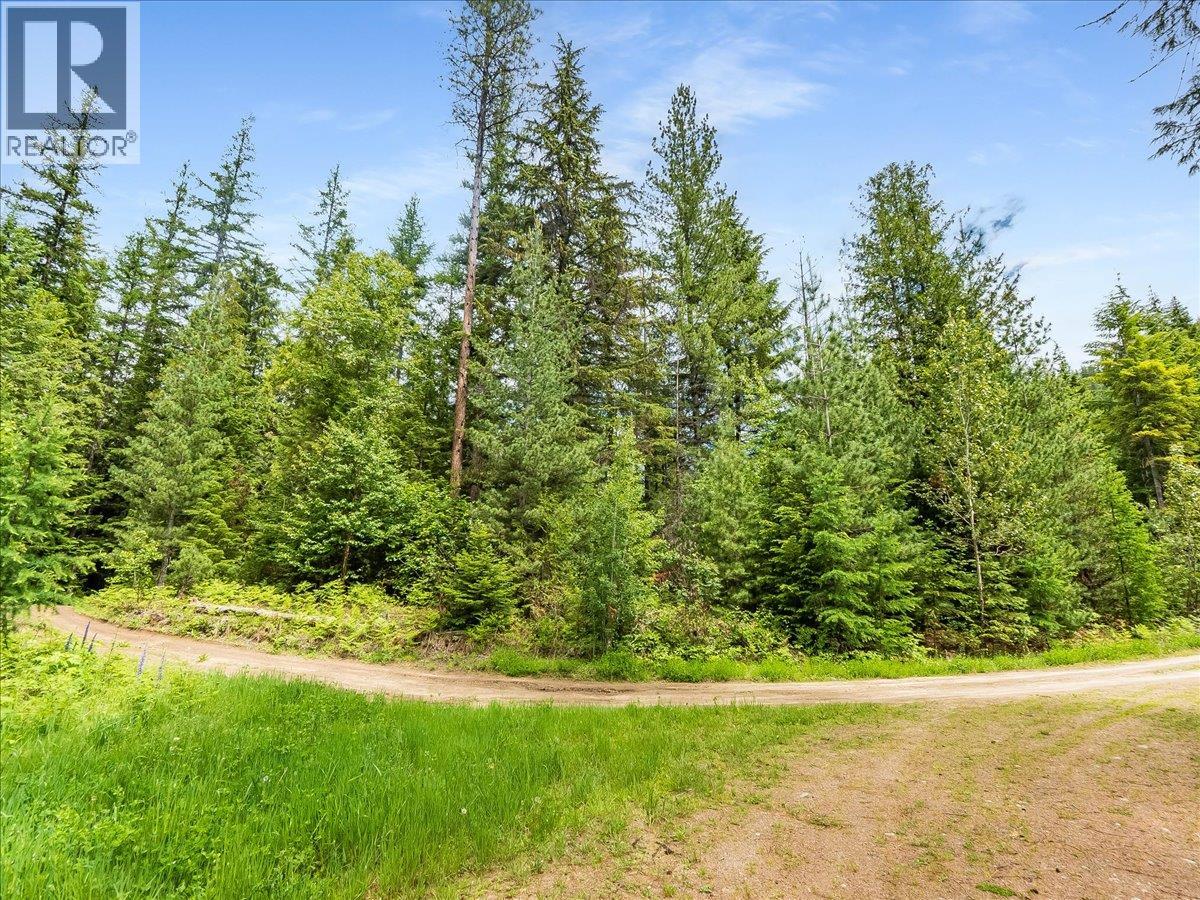 Claybrick Road Lot# 15, Winlaw, British Columbia  V0G 2J0 - Photo 5 - 10390150