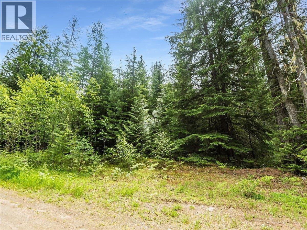 Claybrick Road Lot# 15, Winlaw, British Columbia  V0G 2J0 - Photo 6 - 10390150