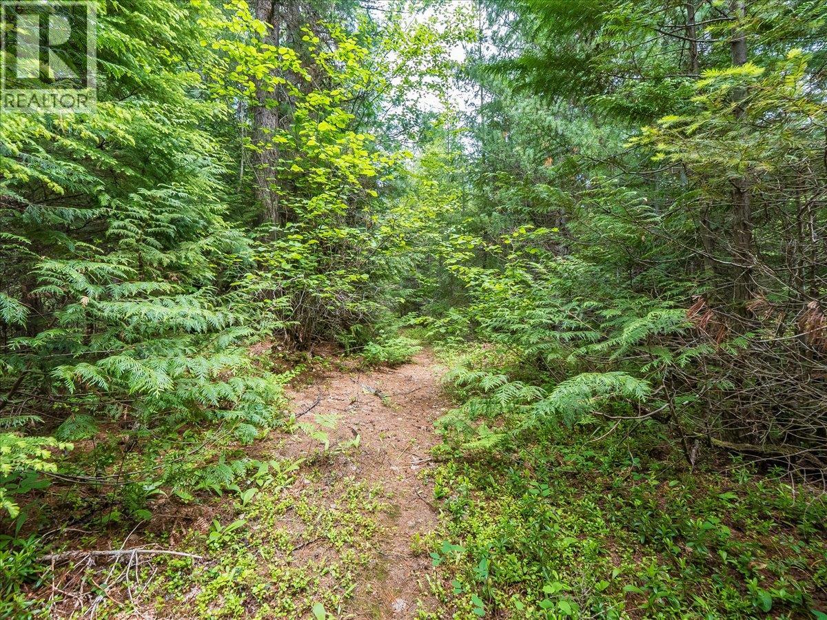 Claybrick Road Lot# 15, Winlaw, British Columbia  V0G 2J0 - Photo 4 - 10390150