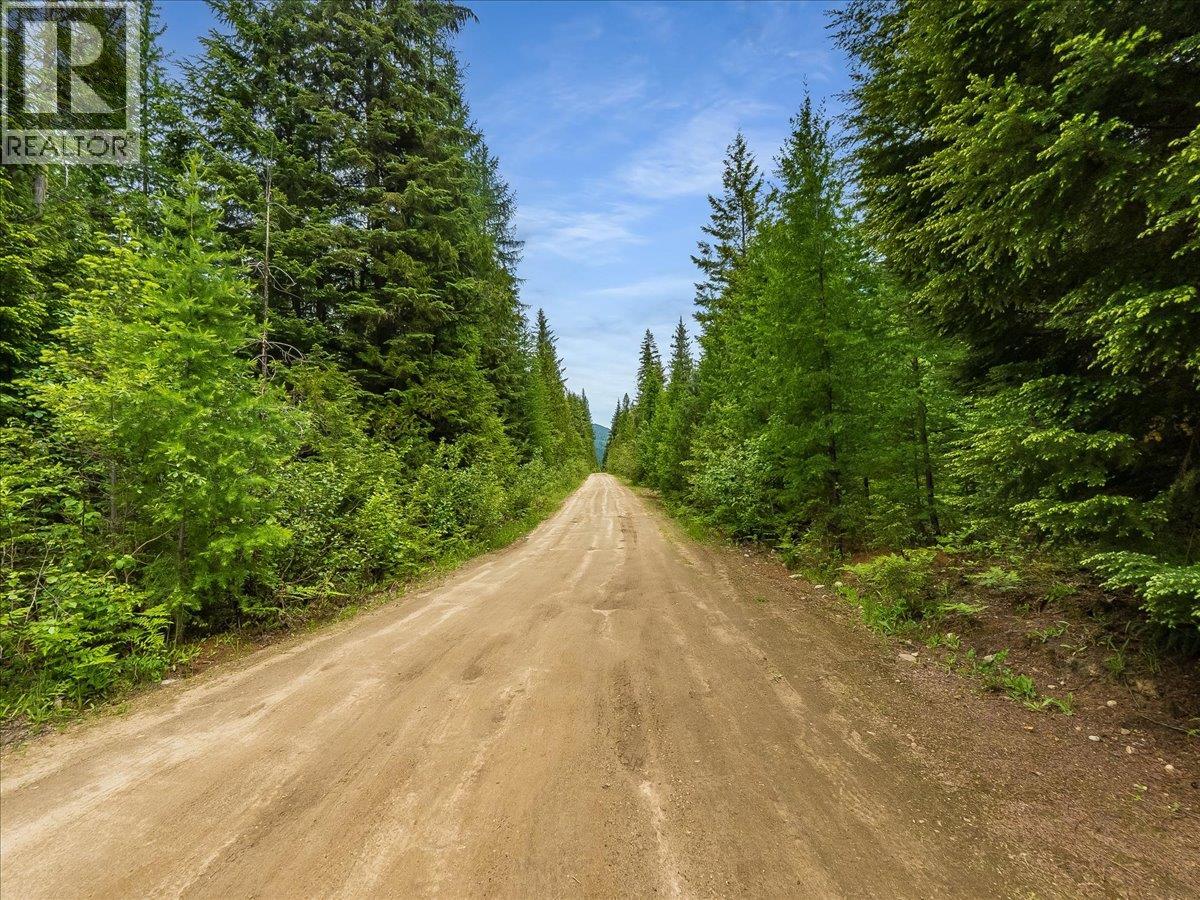 Claybrick Road Lot# 15, Winlaw, British Columbia  V0G 2J0 - Photo 16 - 10390150