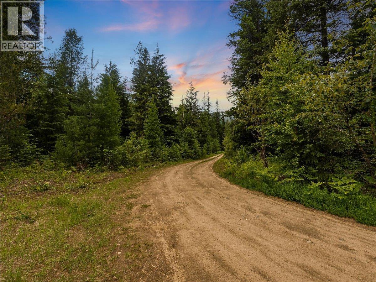 Claybrick Road Lot# 15, Winlaw, British Columbia  V0G 2J0 - Photo 18 - 10390150