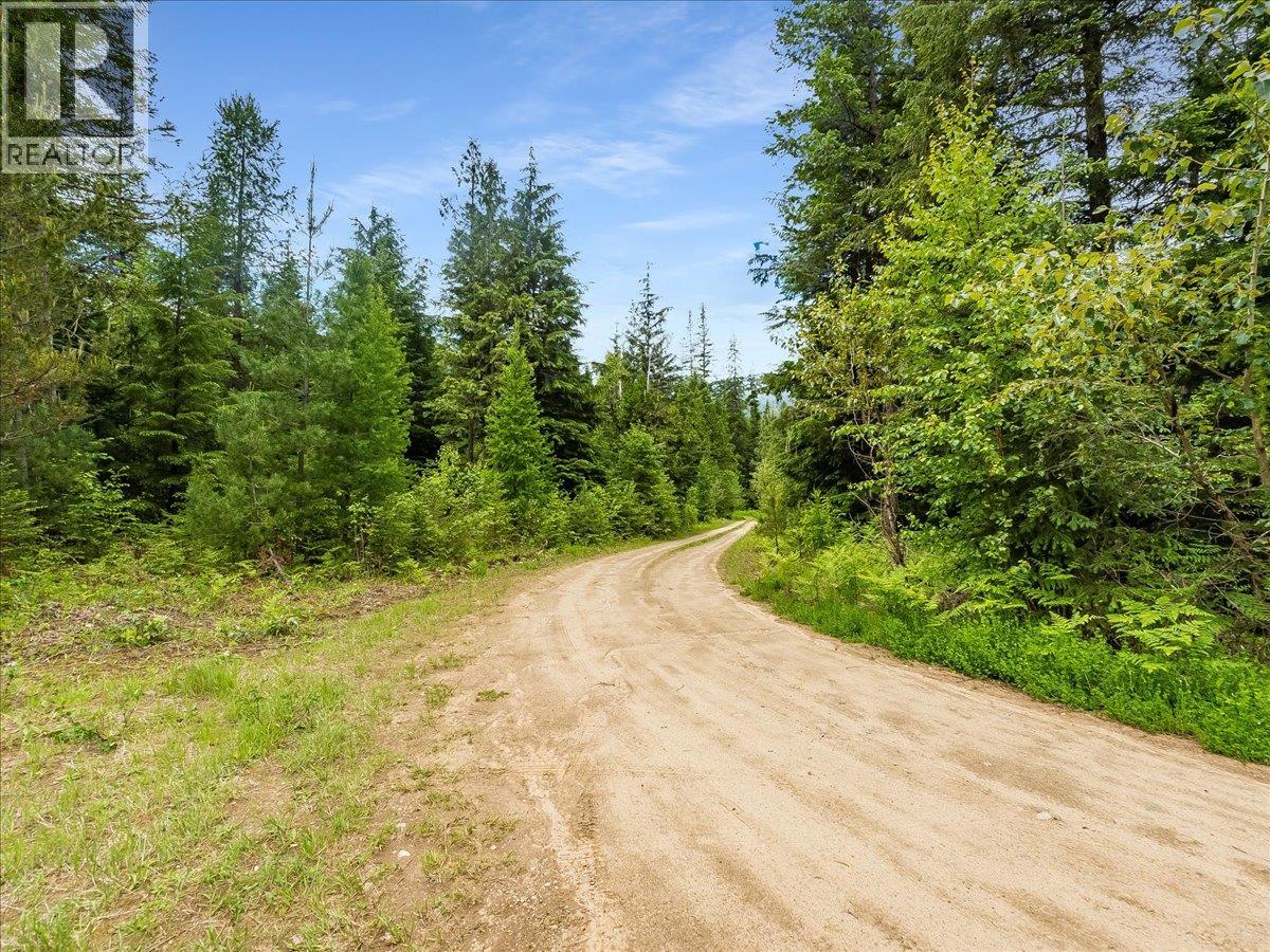 Claybrick Road Lot# 15, Winlaw, British Columbia  V0G 2J0 - Photo 17 - 10390150