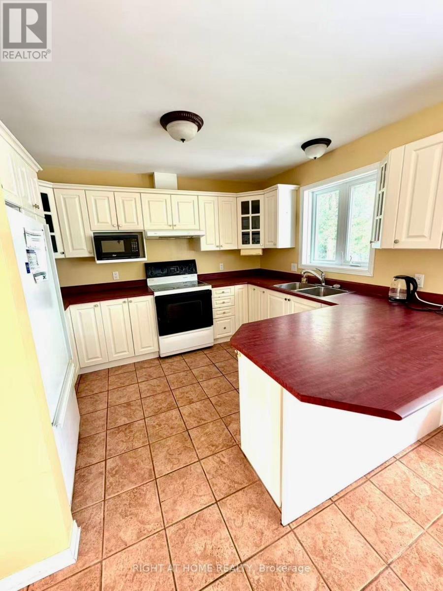 2527 Concession 1 Road, Alfred And Plantagenet, Ontario K0B 1J0 - Photo 3 - X13686408