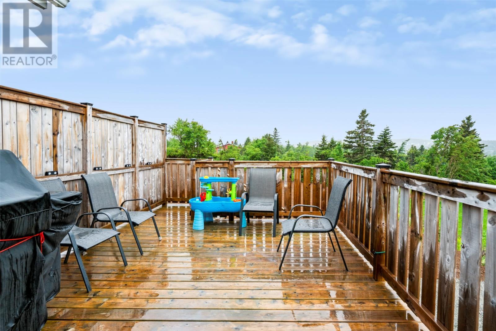 10 Anthonys Place, Bay Roberts — photo 37