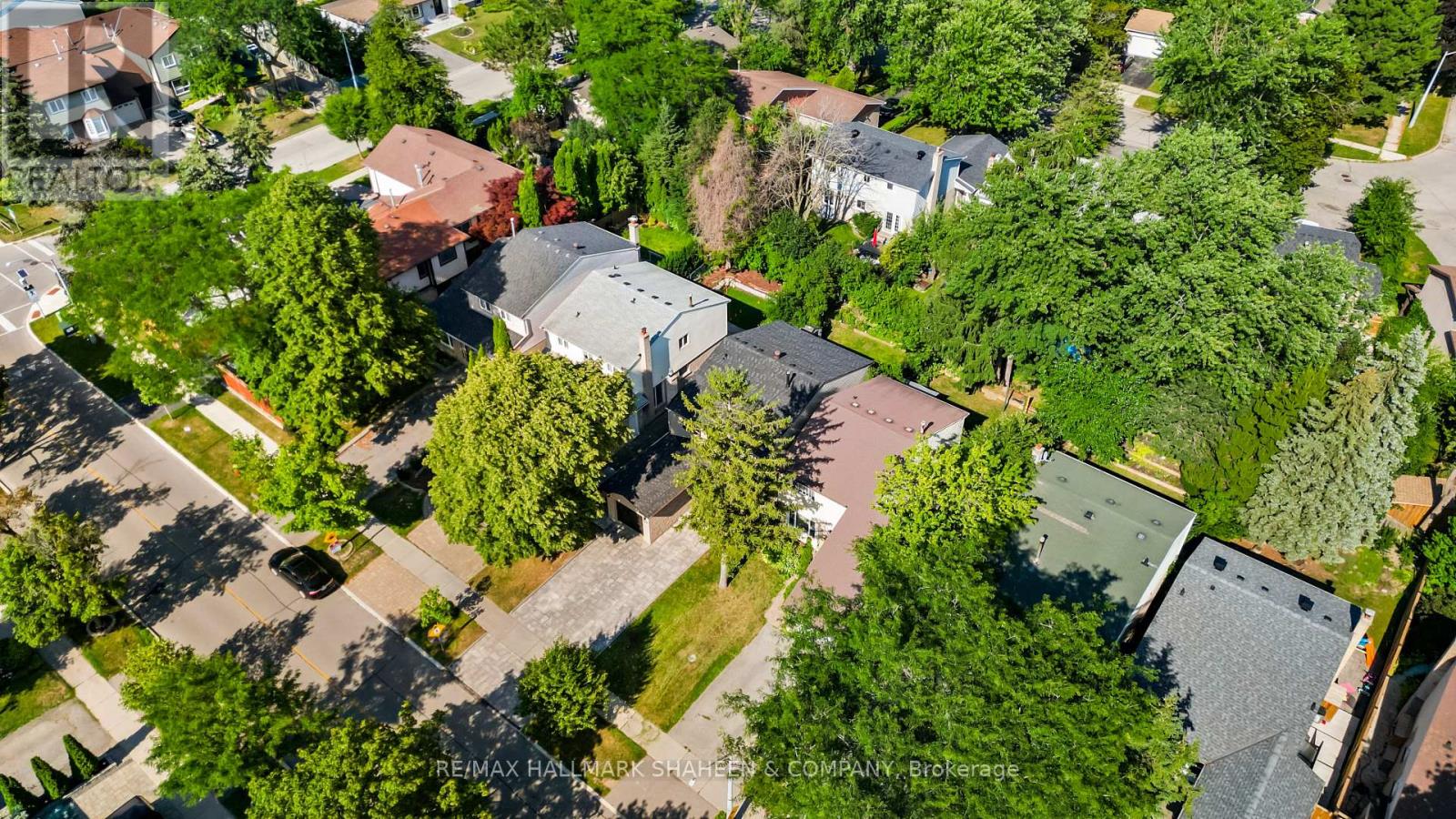 184 Castle Rock Drive, Richmond Hill, Ontario  L4C 5H6 - Photo 6 - N13686556