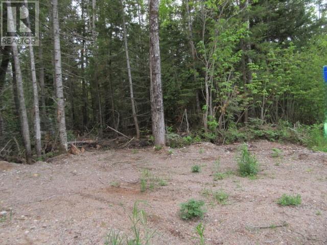 Lot 43 Lakeshore Dr S, Dennis Township, Ontario  P6A 6K4 - Photo 2 - SM262211