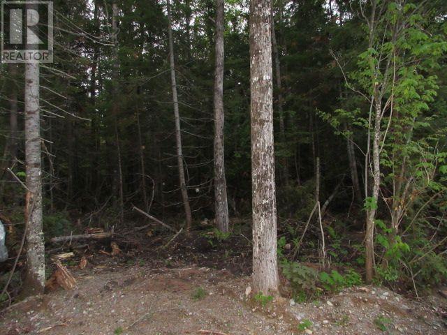 Lot 43 Lakeshore Dr S, Dennis Township, Ontario  P6A 6K4 - Photo 6 - SM262211
