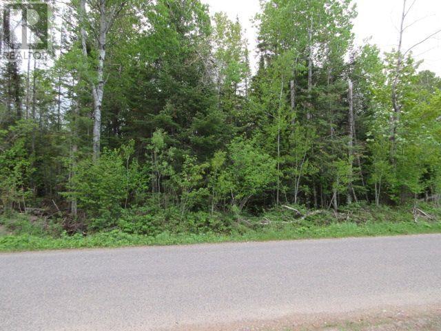 Lot 43 Lakeshore Dr S, Dennis Township, Ontario  P6A 6K4 - Photo 7 - SM262211