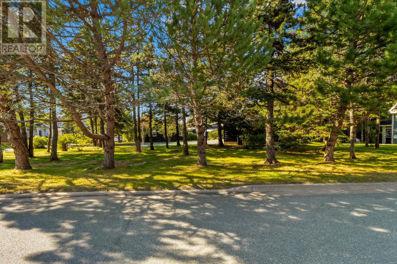7 Kingswood Drive, Conception Bay South — photo 8