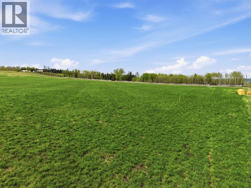 80 Street W, Rural Foothills County, Alberta  T1S 0S3 - Photo 4 - A2316533