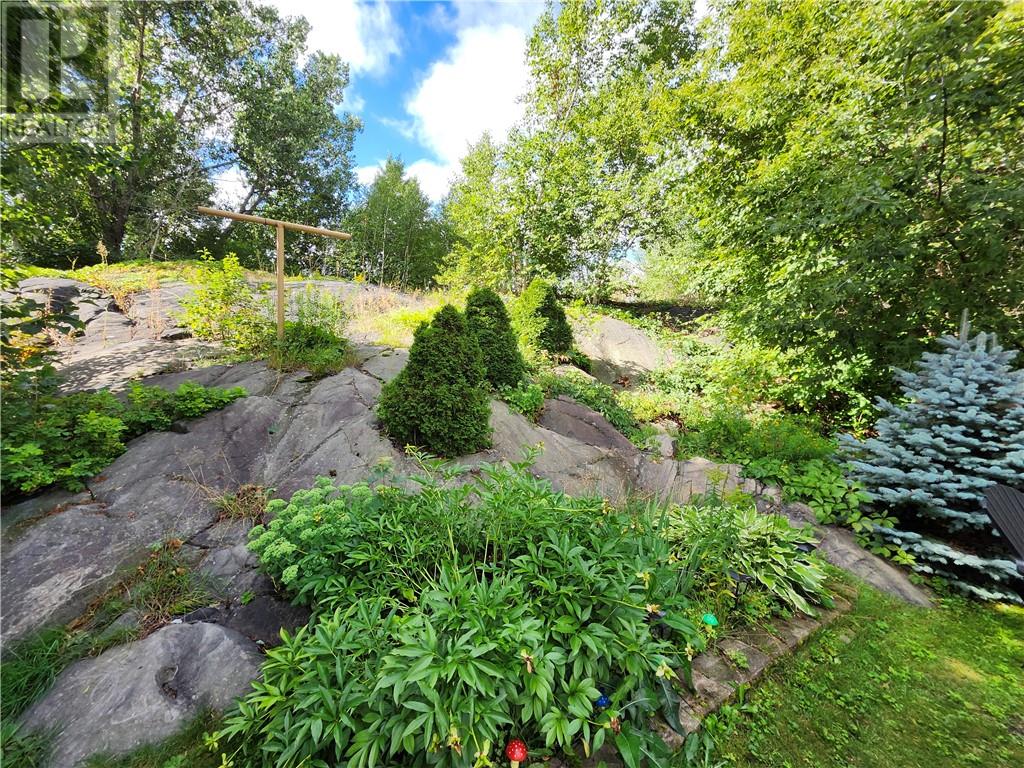 533 Victoria Street, Sudbury, Ontario  P3C 1L3 - Photo 31 - 2129868